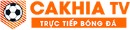 tóc màu xám khói